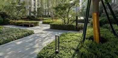 فضای سبز